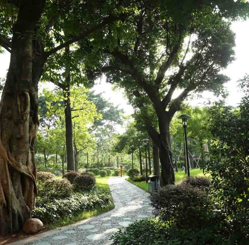 廣州市標(biāo)志性廣??-海珠廣場(chǎng)園林景觀工程